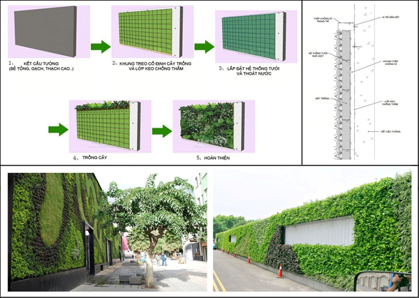 20160620 Vườn tường đứng - giải pháp xanh cho các đô thị 7.jpg